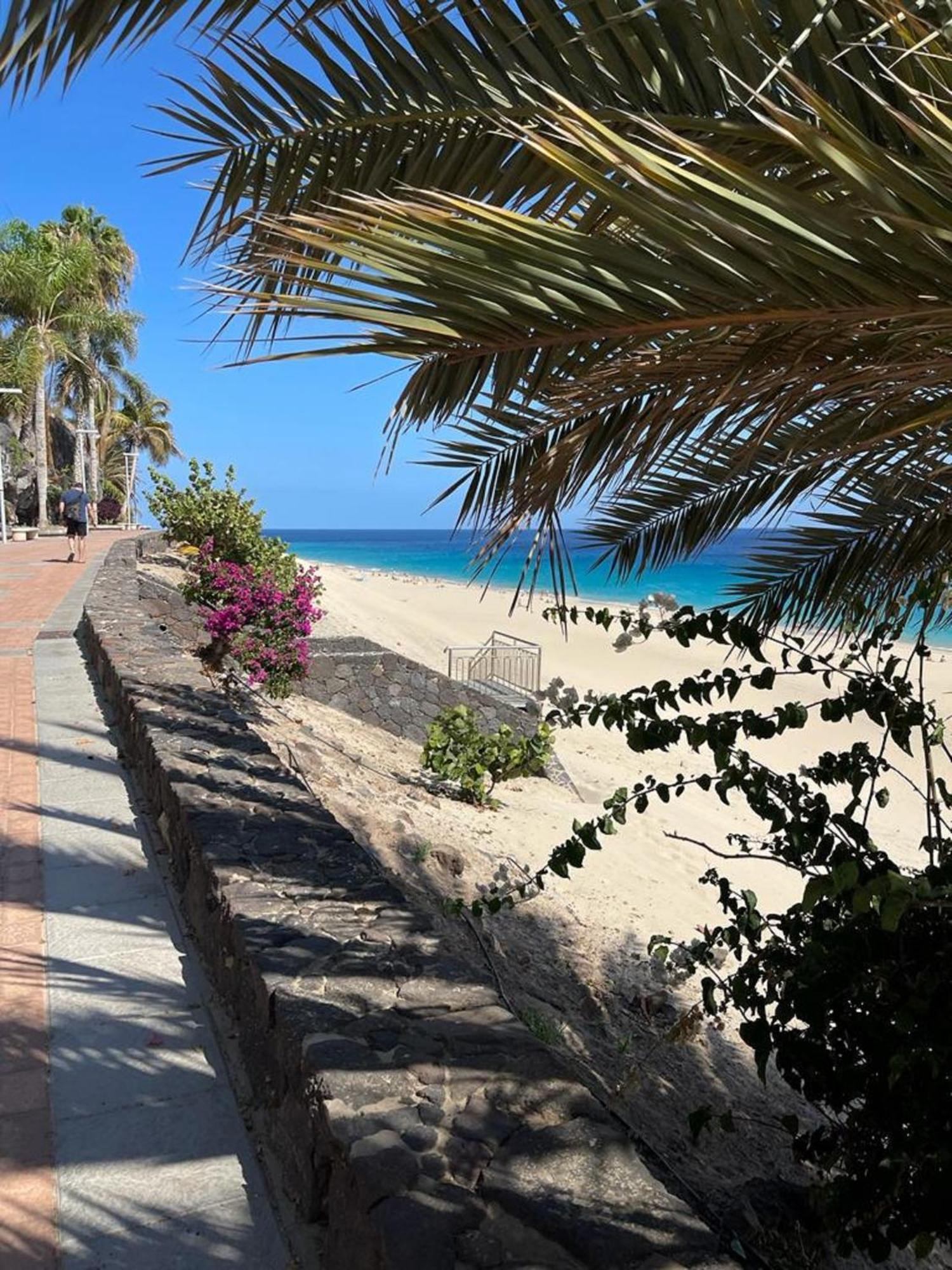 Casa Reina Διαμέρισμα Playa Jandia Εξωτερικό φωτογραφία