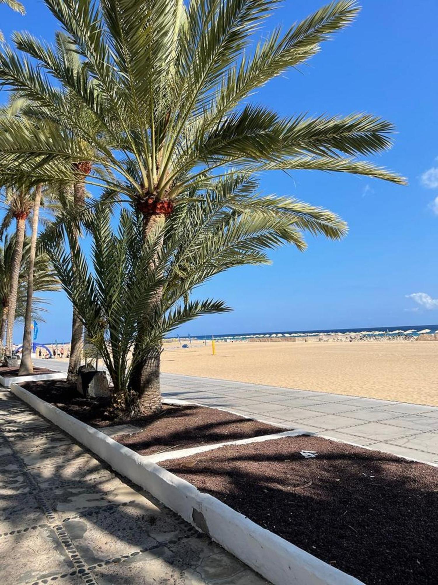 Casa Reina Διαμέρισμα Playa Jandia Εξωτερικό φωτογραφία
