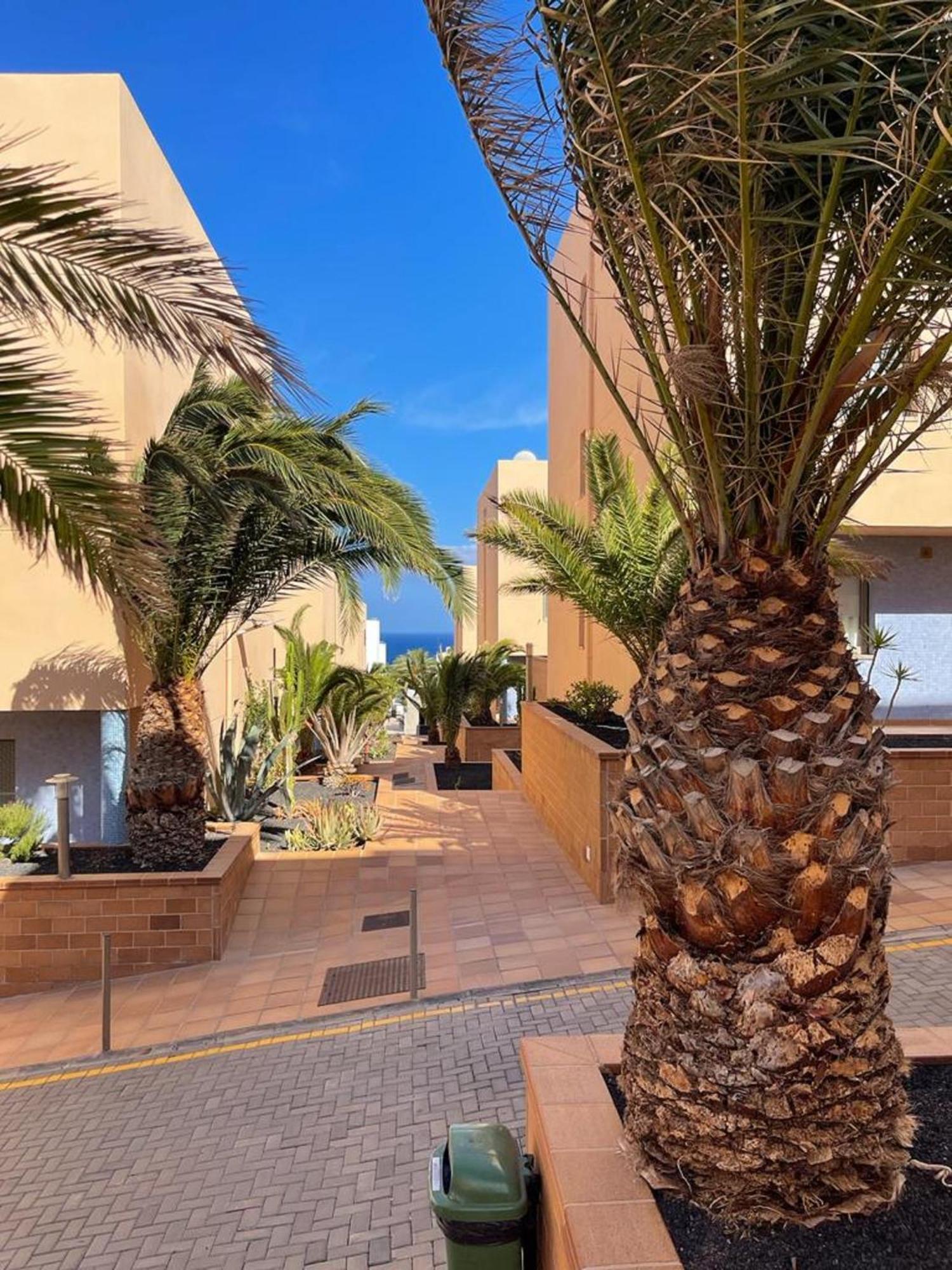 Casa Reina Διαμέρισμα Playa Jandia Εξωτερικό φωτογραφία